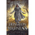 Dungeon Madness: The Divine Dungeon Book 2