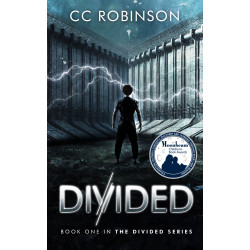 Divided: Book One in the Divided Series