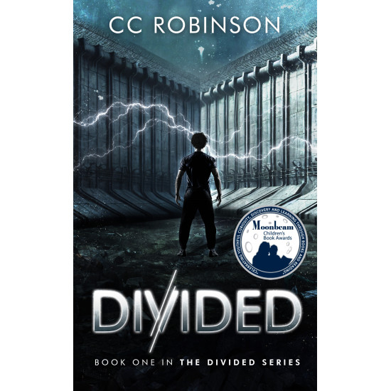 Divided: Book One in the Divided Series