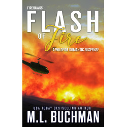 Flash of Fire: a wildfire firefighter romantic suspense