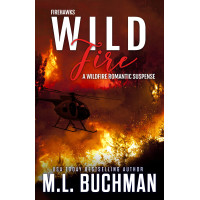Wild Fire: a wildfire firefighter romantic suspense