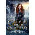 Gryphon Rider Academy: Year 2 (A Young Adult Fantasy)