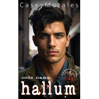 Hallum: An m/m romance spy thriller