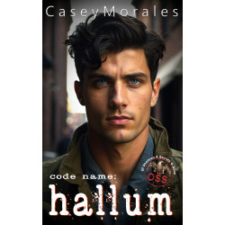 Hallum: An m/m romance spy thriller