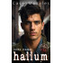 Hallum: An m/m romance spy thriller