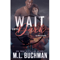 Wait Until Dark: a military romantic thriller