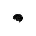 Psychological