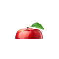 Education & Teaching