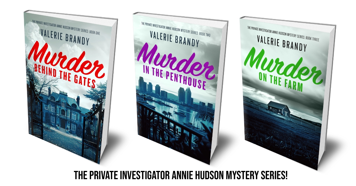 The Private Investigator Annie Hudson Mystery Series
